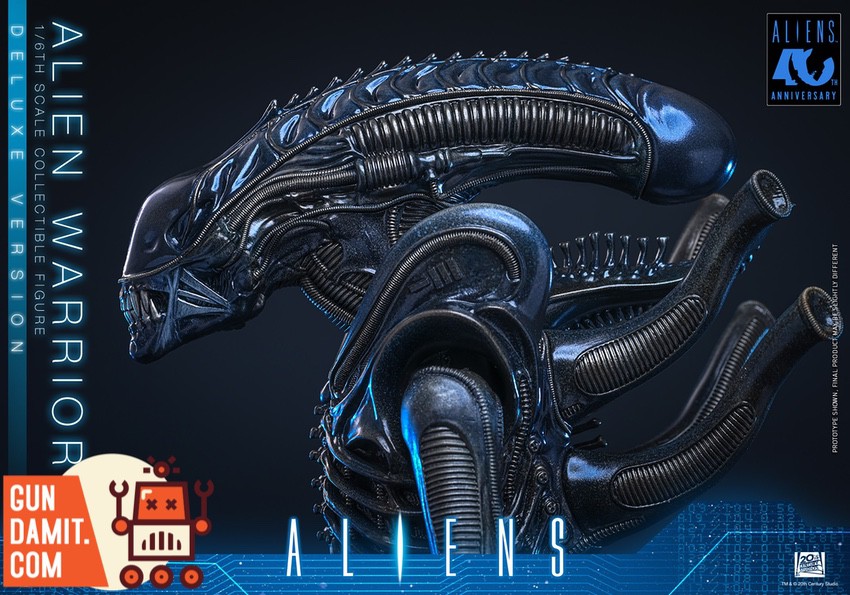 Hot Toys 1/6 MMS899 Aliens Alien Warrior Deluxe | GunDamit.com
