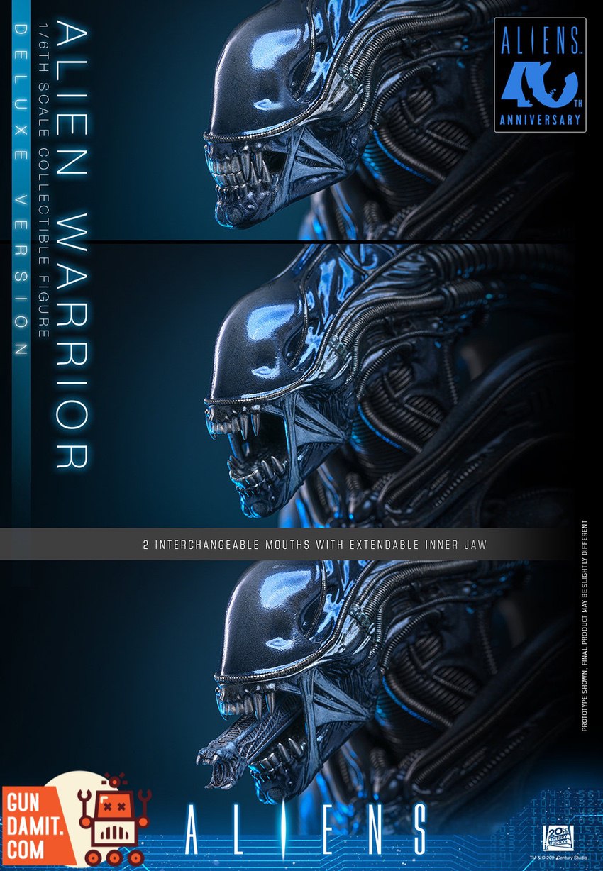 HotToys 1/6 MMS899 Aliens Alien Warrior Deluxe Version - Gundamit