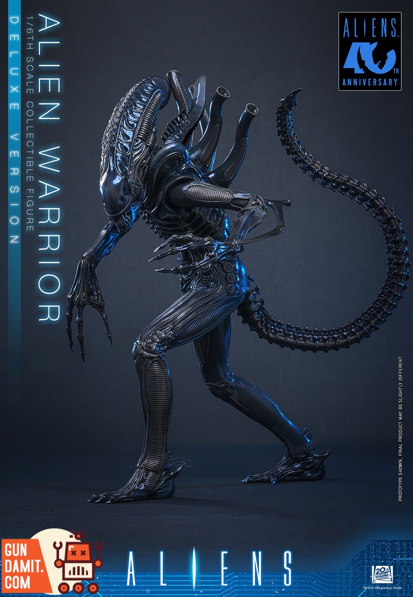 Hot Toys 1/6 MMS899 Aliens Alien Warrior Deluxe | GunDamit.com