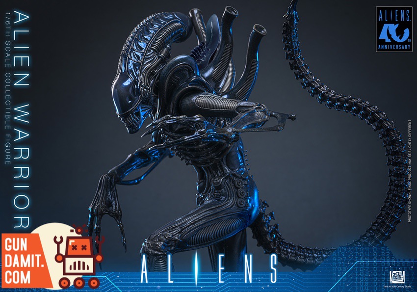 Hot Toys 1/6 MMS898 Aliens Alien Warrior | GunDamit.com