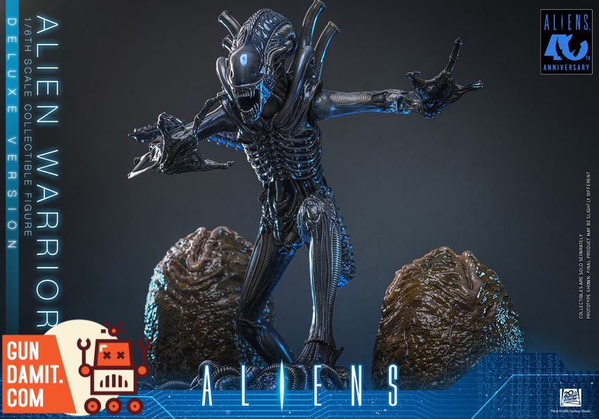 HotToys 1/6 MMS899 Aliens Alien Warrior Deluxe Version - Gundamit