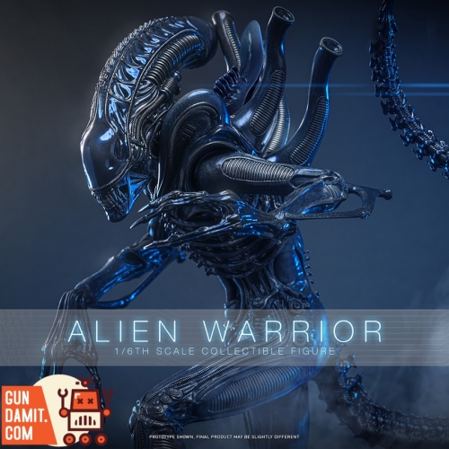 Hot Toys Action Figure | GunGamit