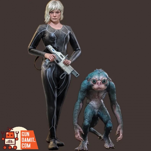 Hot Toys Action Figure | GunGamit