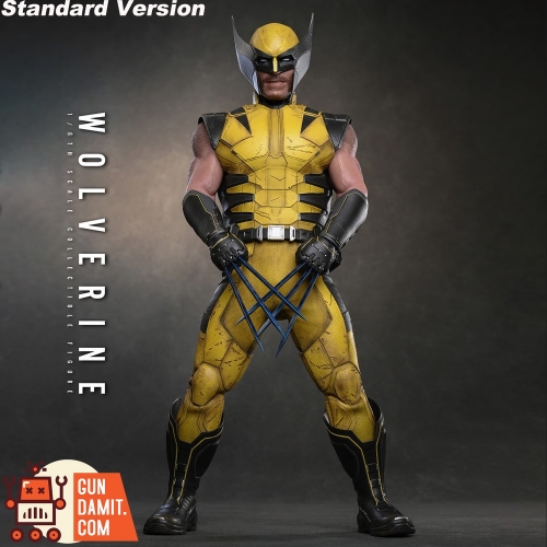 Hot Toys Action Figure | GunGamit