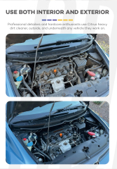 Surainbow Citrus Heavy Dirt Cleaner