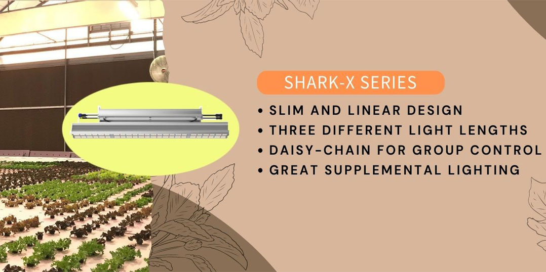 Shark-X Series: Great Supplemental Lighting for Greenhouse