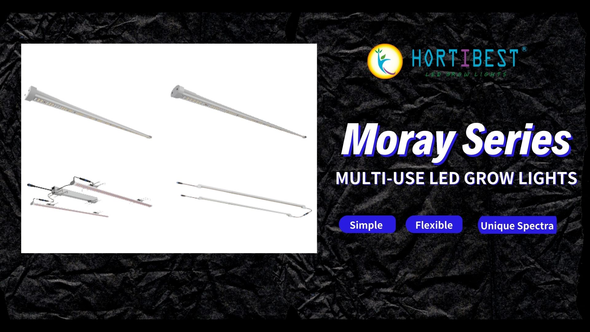 Moray Series: Multi-Use LED Grow Lights