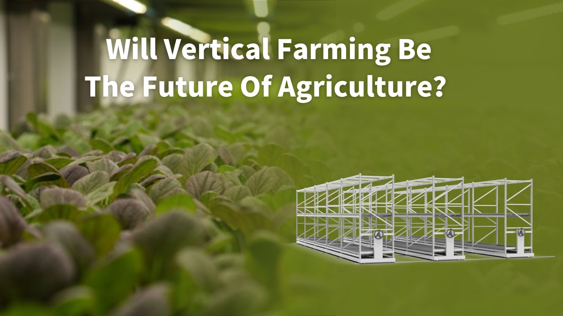 Will Vertical Farming Be the Future of Agriculture?