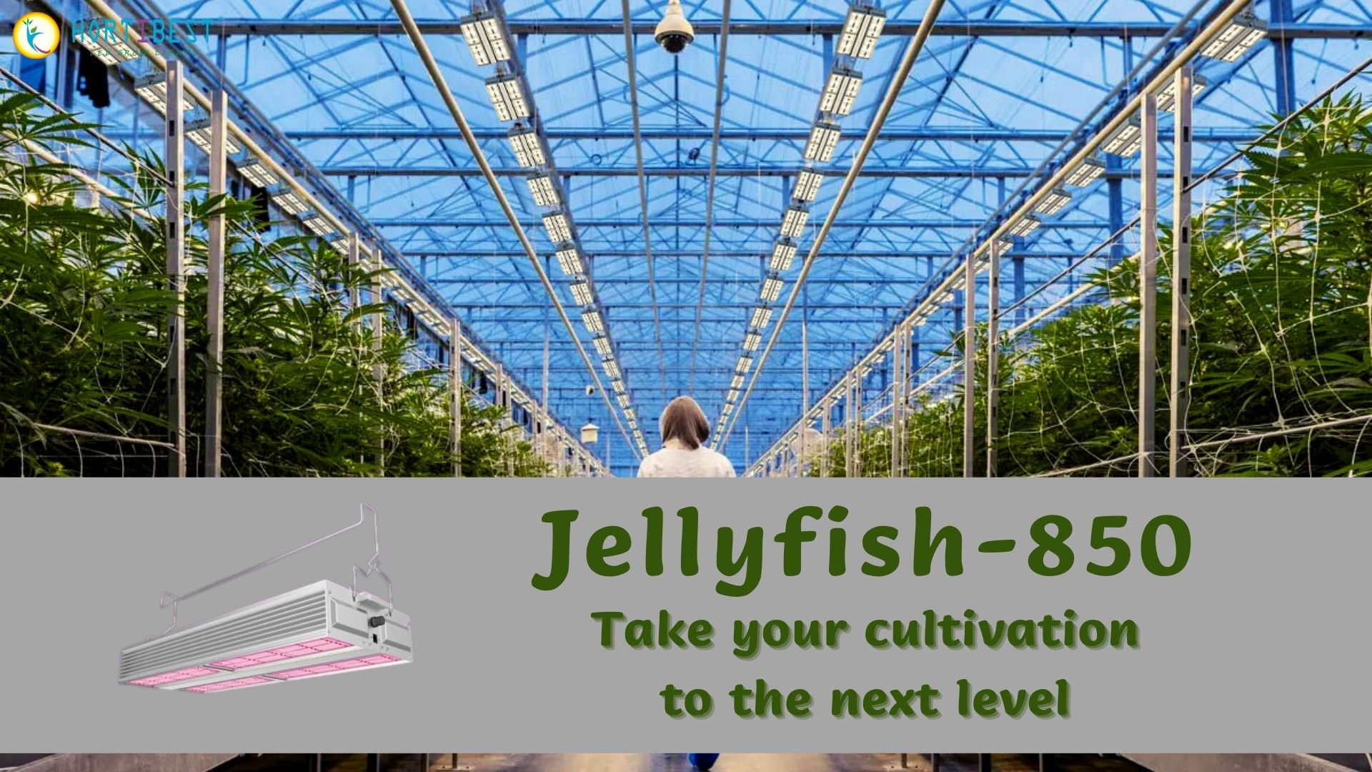 Boost Your Cannabis Growth with the Jellyfish-850 Grow Light