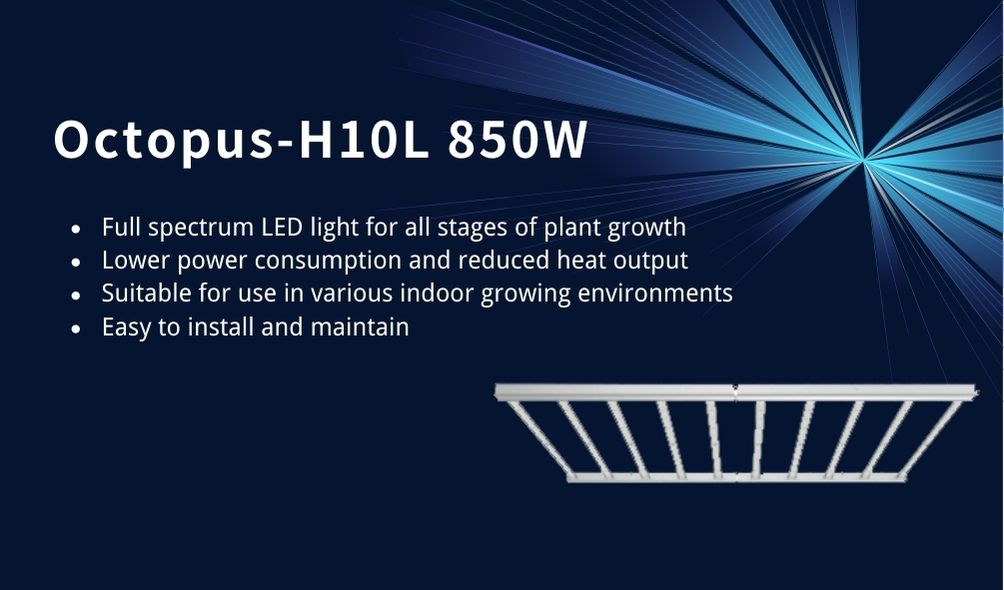 Optimize Your Indoor Growing with Octopus-H10L 850W