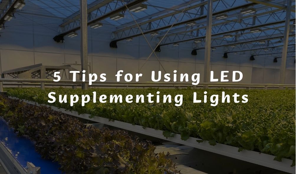 5 Tips for Using LED Supplementing Lights