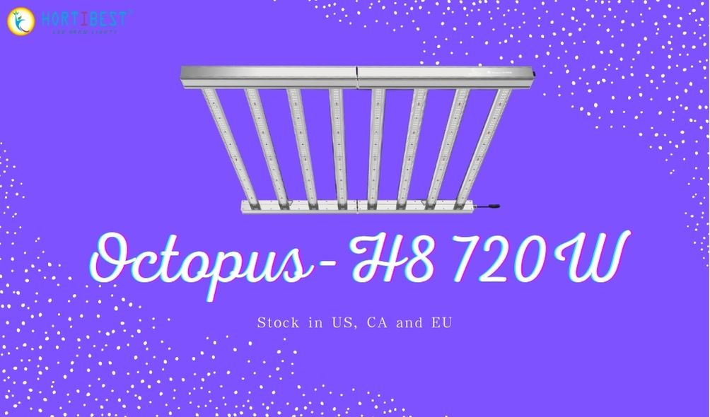 Octopus-H8 720W Grow Light: Stock Available in US, CA and EU