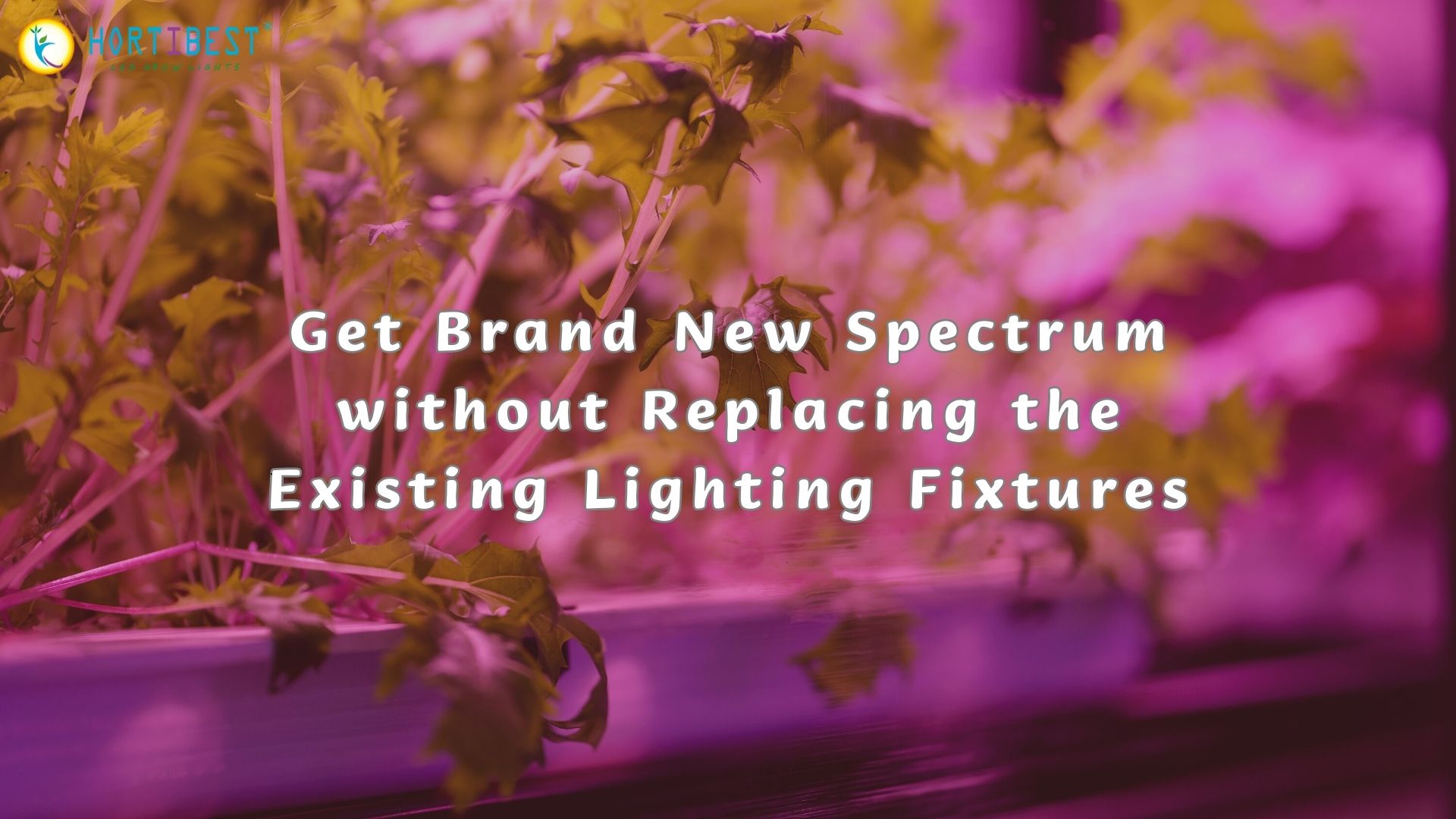 Get Brand New Spectrum without Replacing the Existing Lighting Fixtures