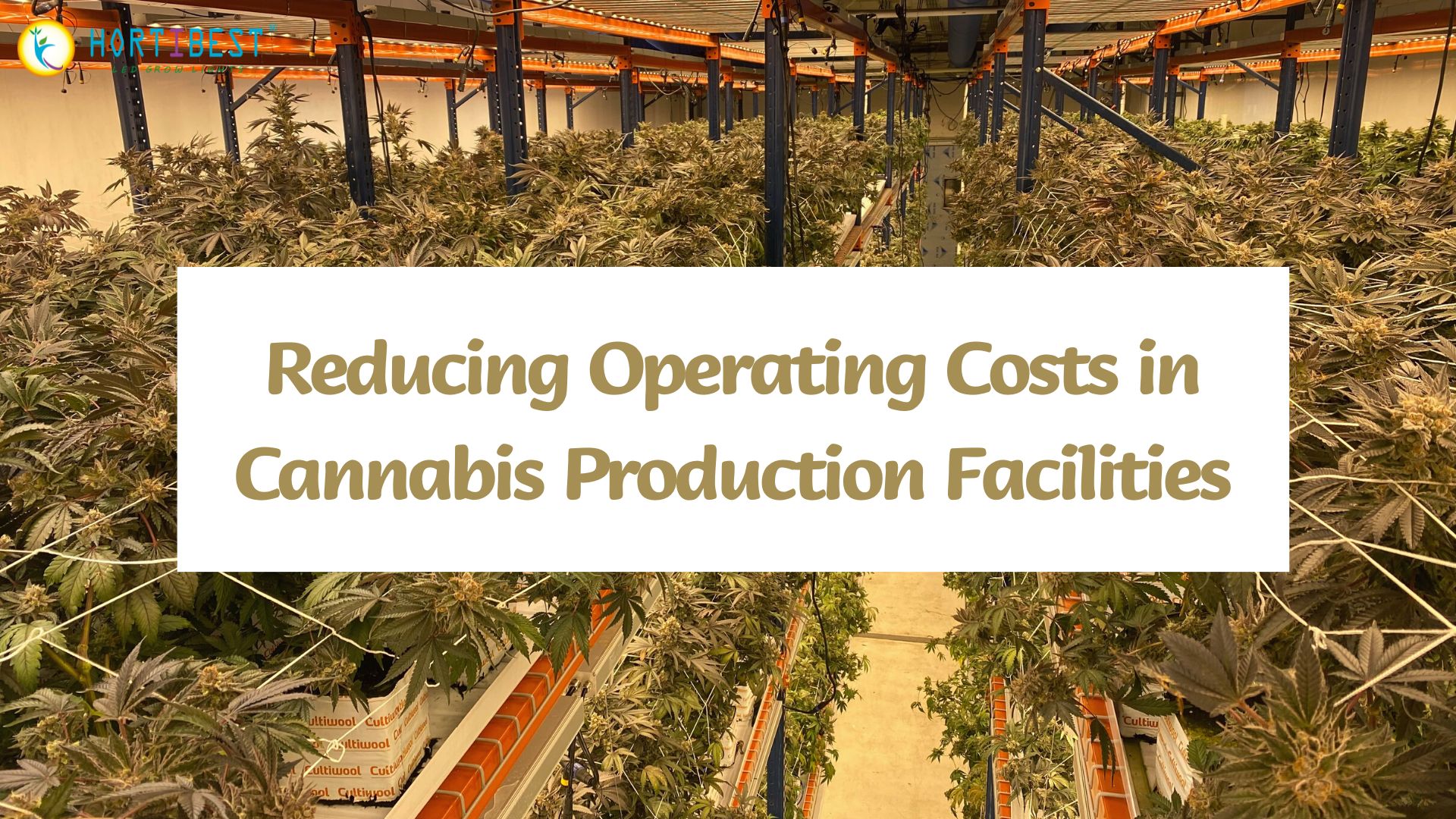 Reducing Operating Costs in Cannabis Production Facilities