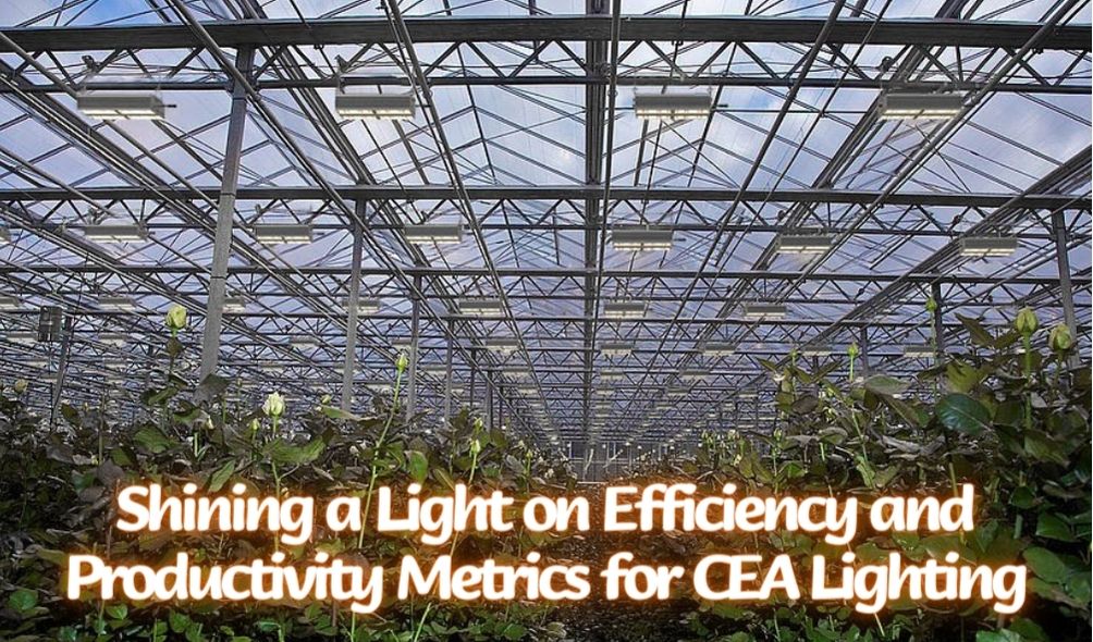 Shining a Light on Efficiency and Productivity Metrics for CEA Lighting
