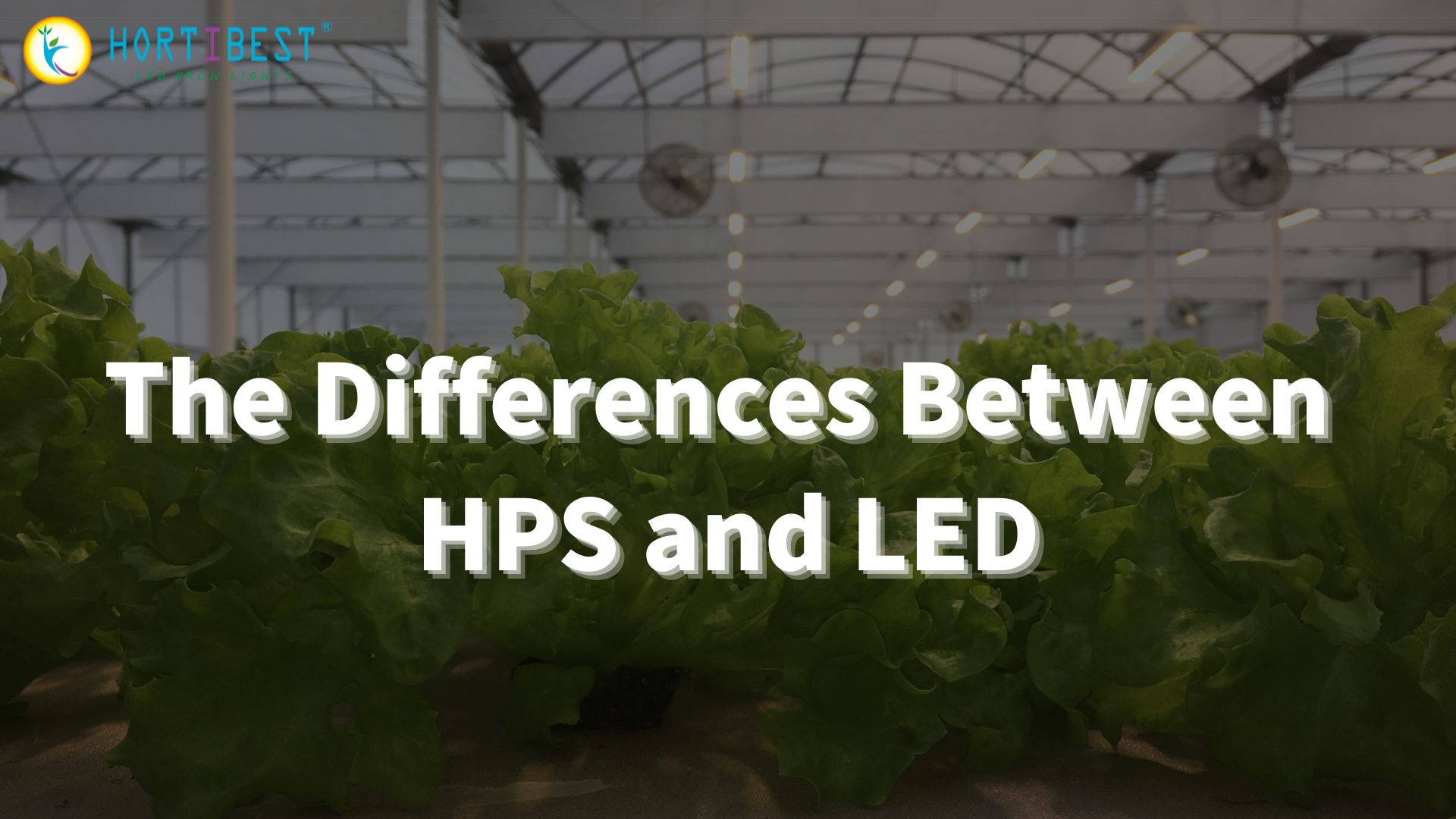 The Differences between HPS and LED