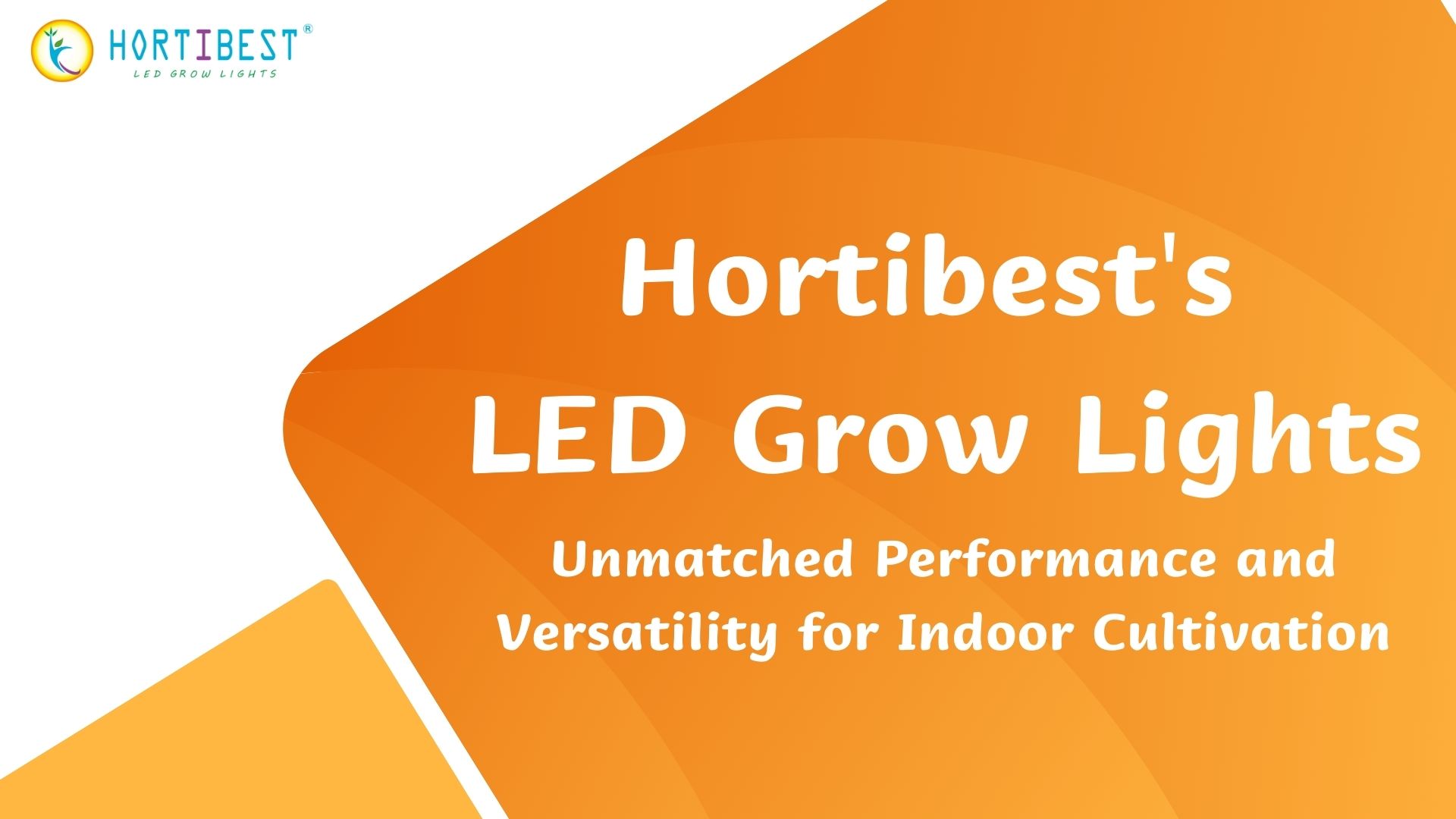 Hortibest's LED Grow Lights: Unmatched Performance and Versatility for Indoor Cultivation!