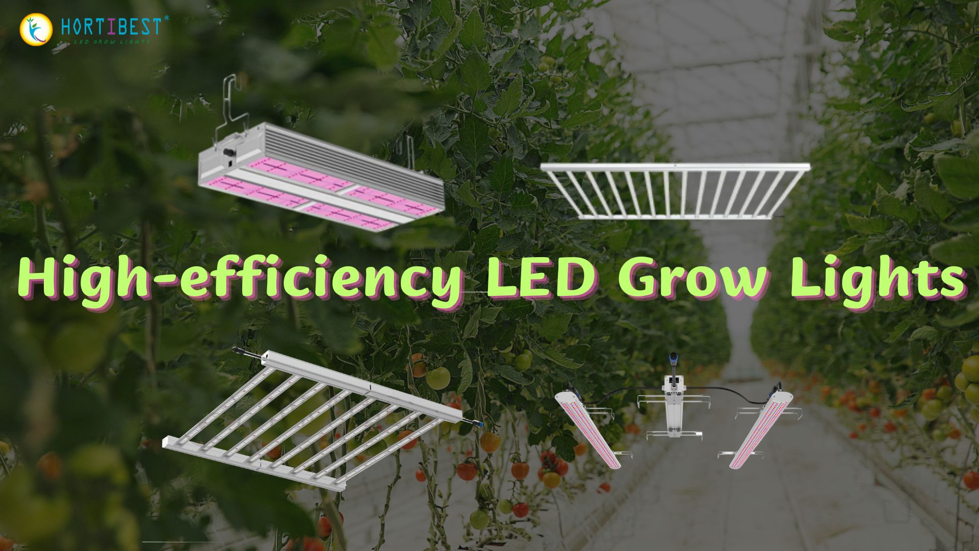 High-efficiency LED Grow Lights for Indoor Gardening