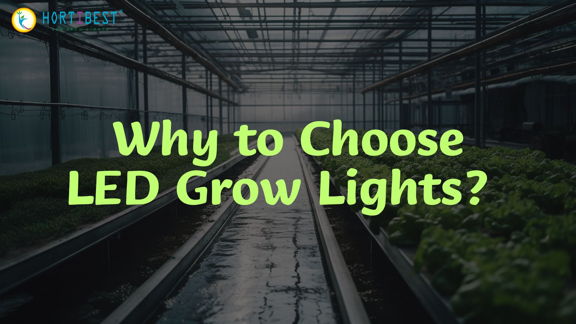 Why to Choose LED Grow Lights?