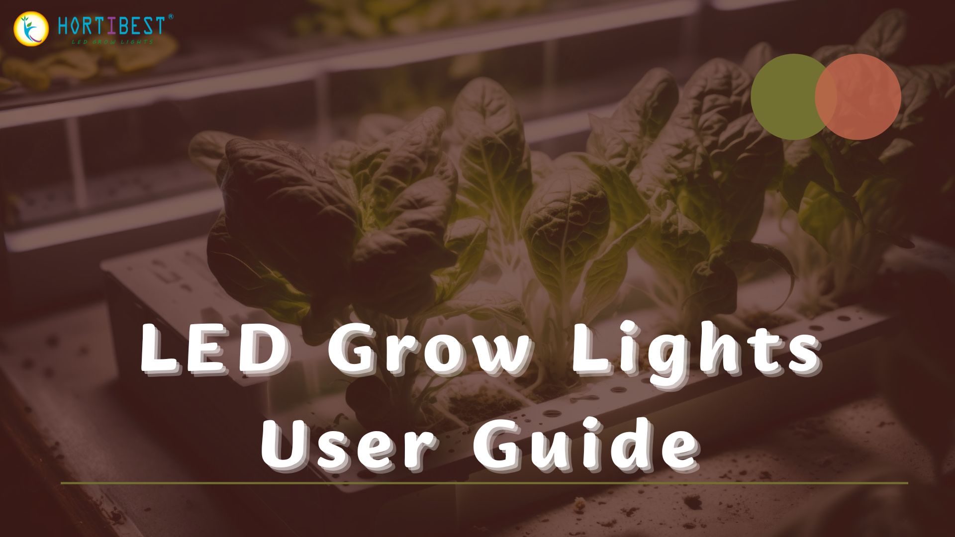 LED Grow Lights User Guide