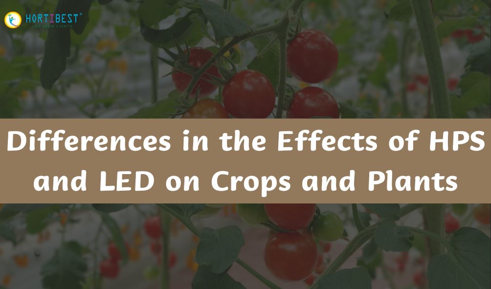 Differences in the Effects of HPS and LED on Crops and Plants