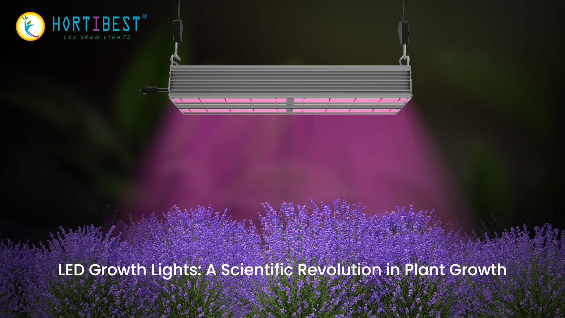 LED Growth Lights: A Scientific Revolution in Plant Growth