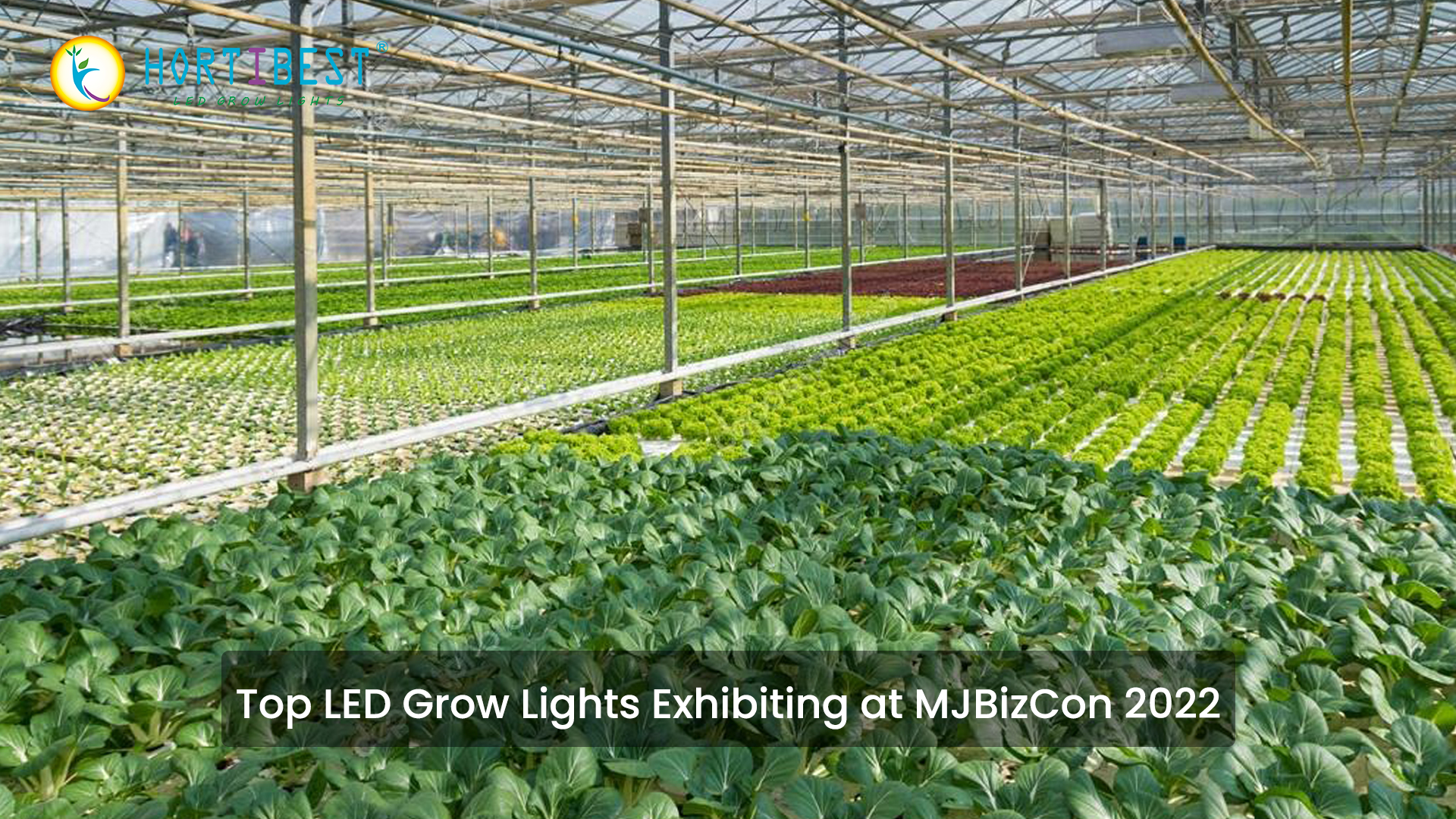 Top LED Grow Lights Exhibiting at MJBizCon 2022