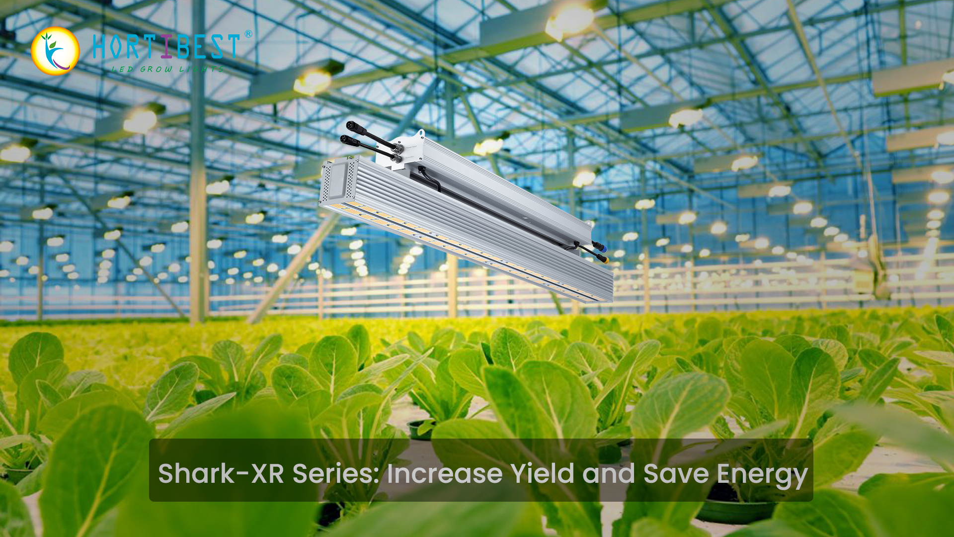 Shark-XR Series: Increase Yield and Save Energy