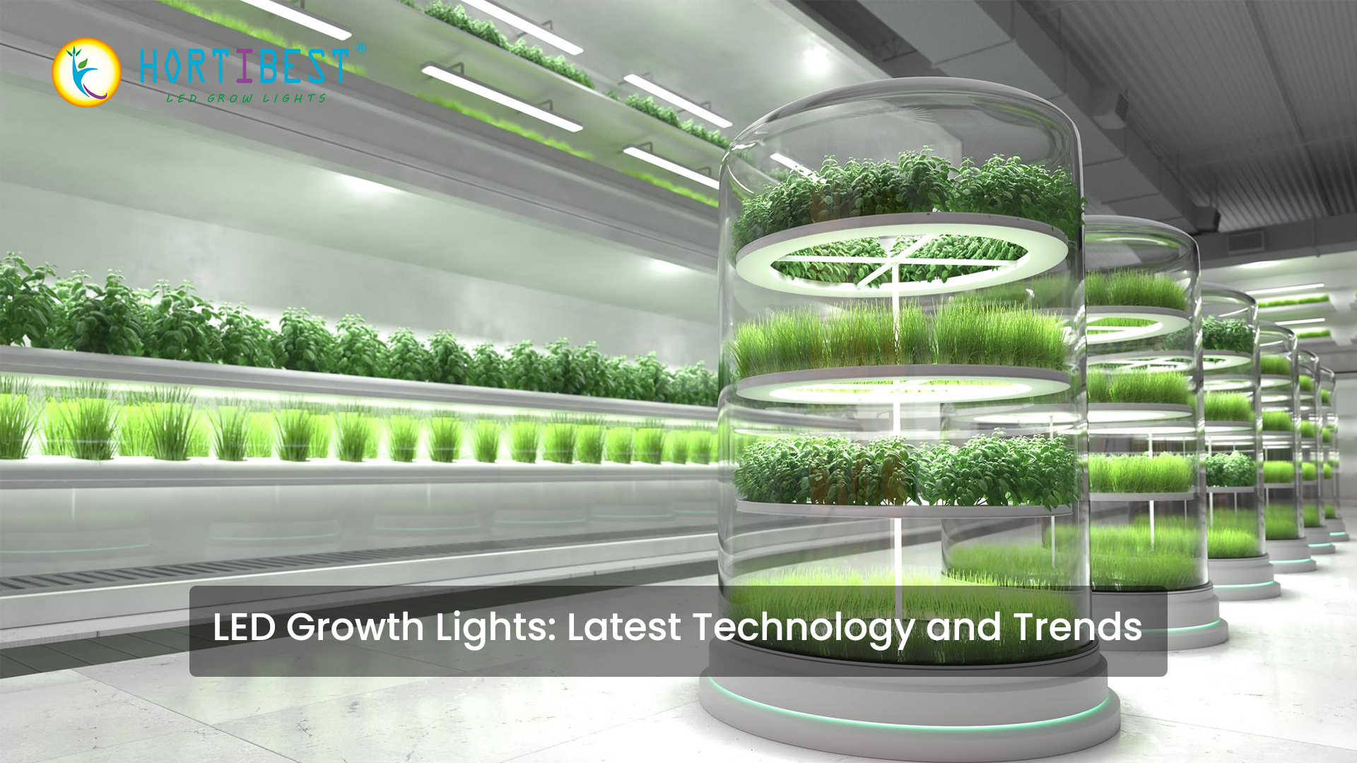 LED Growth Lights: Latest Technology and Trends