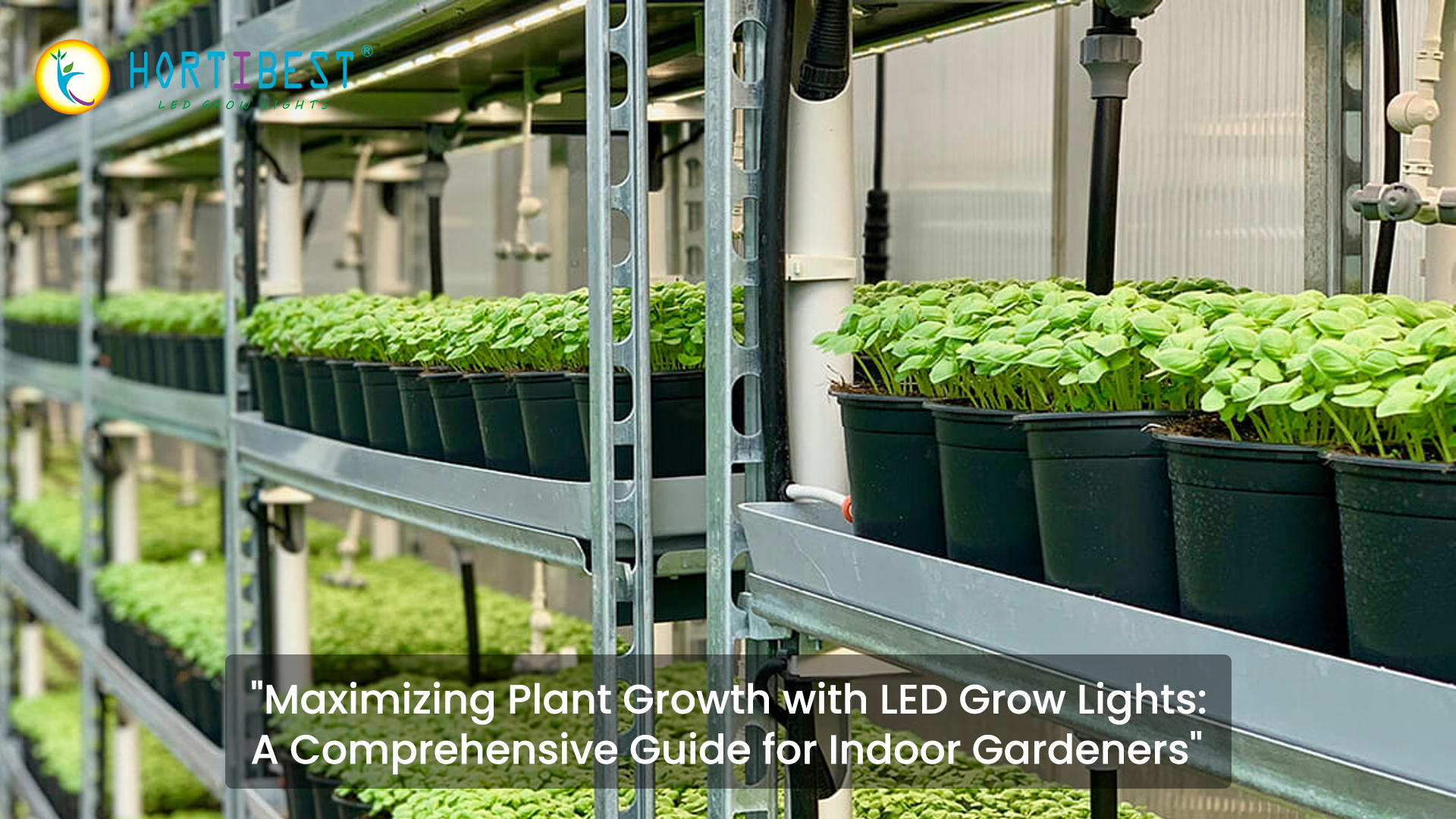 &quot;Maximizing Plant Growth with LED Grow Lights: A Comprehensive Guide for Indoor Gardeners&quot;