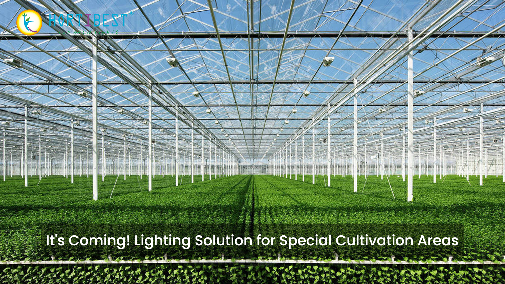 It's Coming! Lighting Solution for Special Cultivation Areas