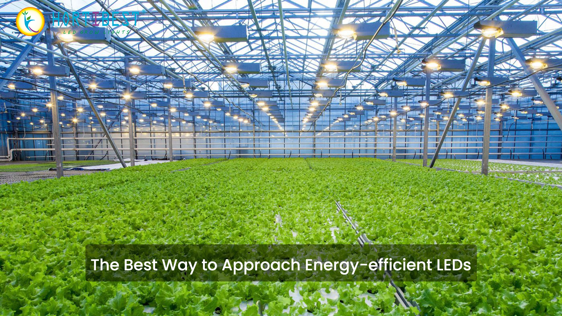 The Best Way to Approach Energy-efficient LEDs