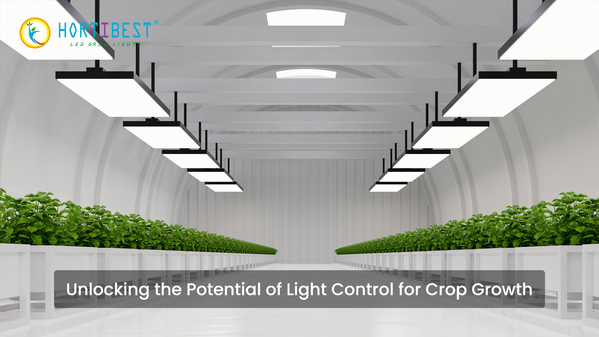 Unlocking the Potential of Light Control for Crop Growth