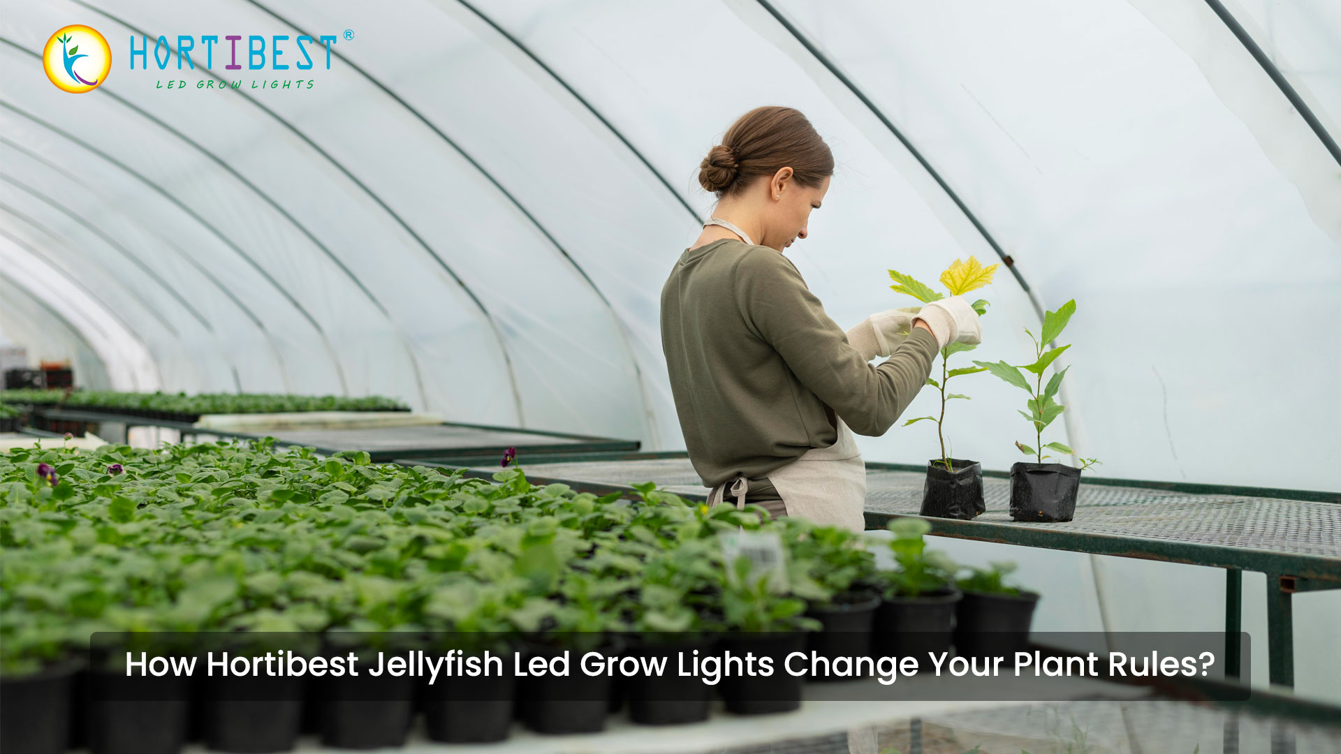 How Jellyfish Led Grow Lights change your plant rules