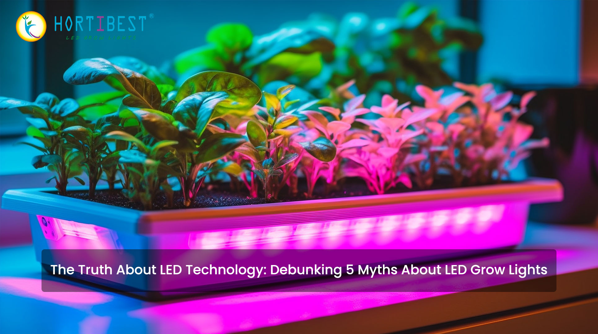 The Truth About LED Technology: Debunking 5 Myths About LED Grow Lights