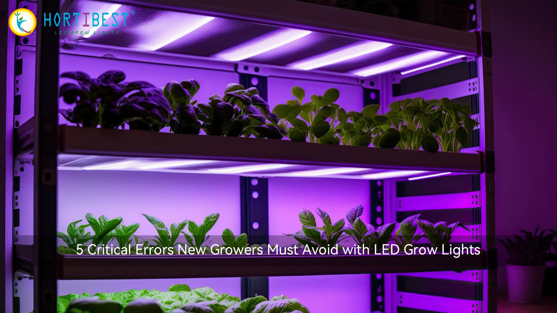 5 Critical Errors New Growers Must Avoid with LED Grow Lights