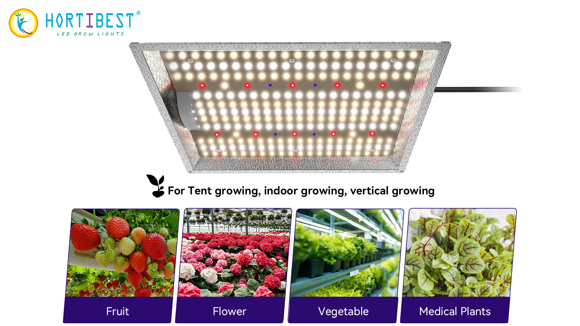 QB Series led grow lights: Best Choice for Beginner Tent Planting