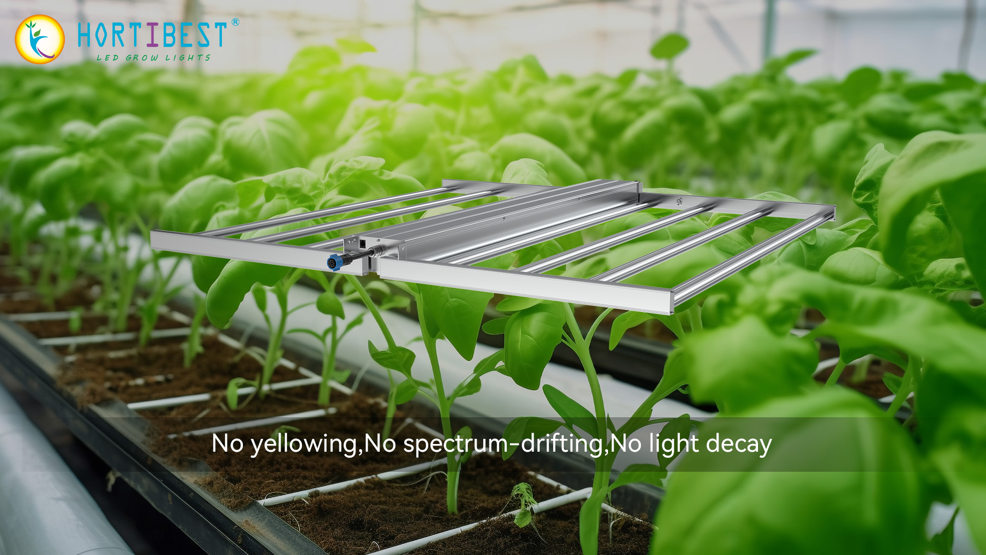 DLC Certified and Trusted by Growers: The OG8-2700 LED Grow Light for 4'X4' Spaces with Tailored Light Spectra