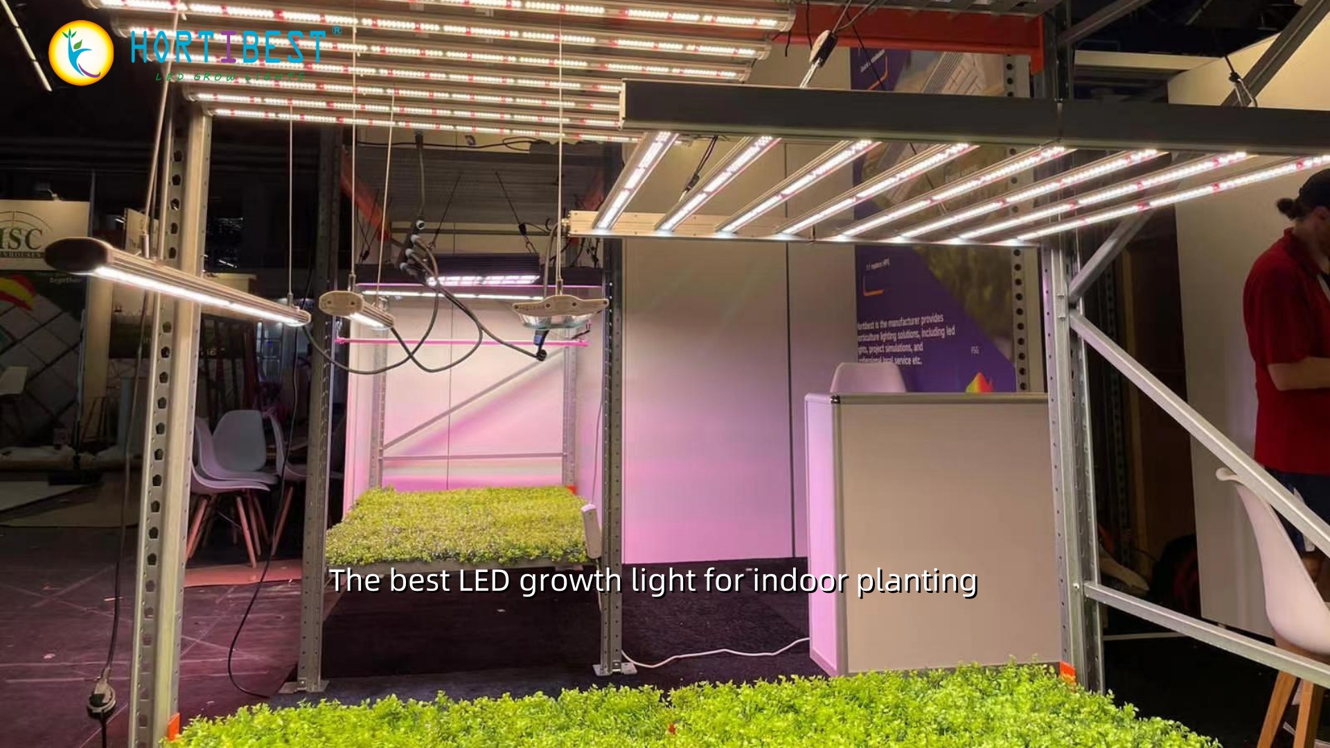 The best LED growth light for indoor planting