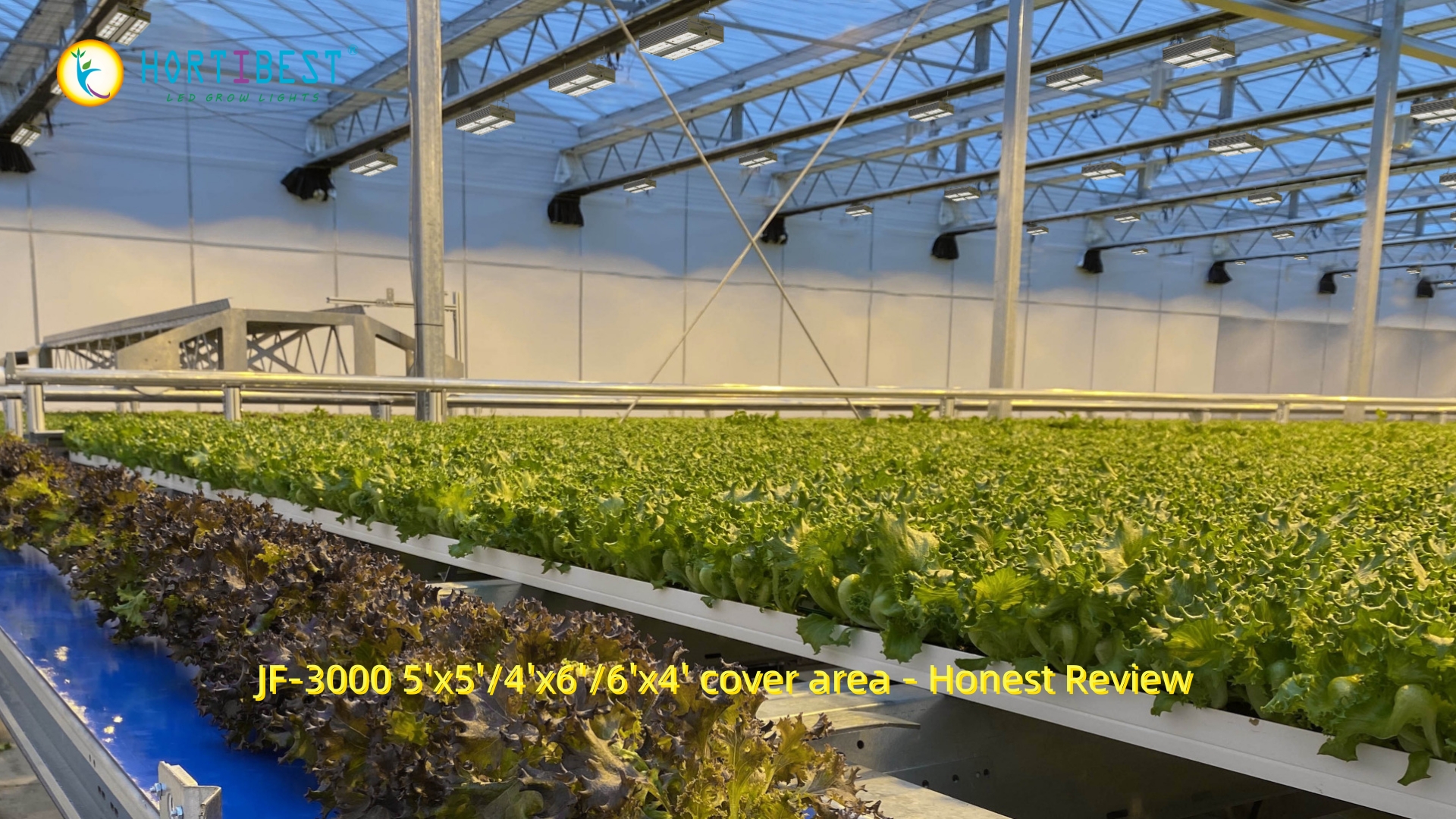 Best LED grow light for commercial grows-Hortibest JF-3000 review