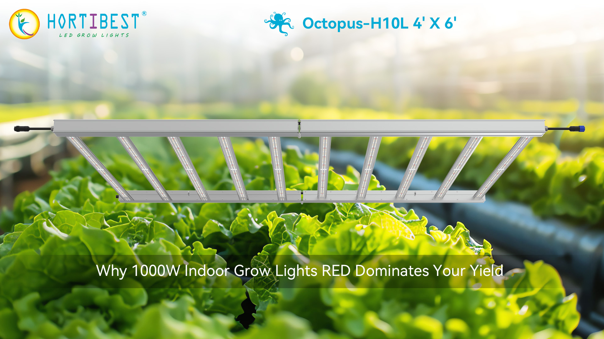 Unlock Bigger Blooms &amp; Higher Profits: The Grower’s Guide to Hortibest’s OC-H10L LED Powerhouse