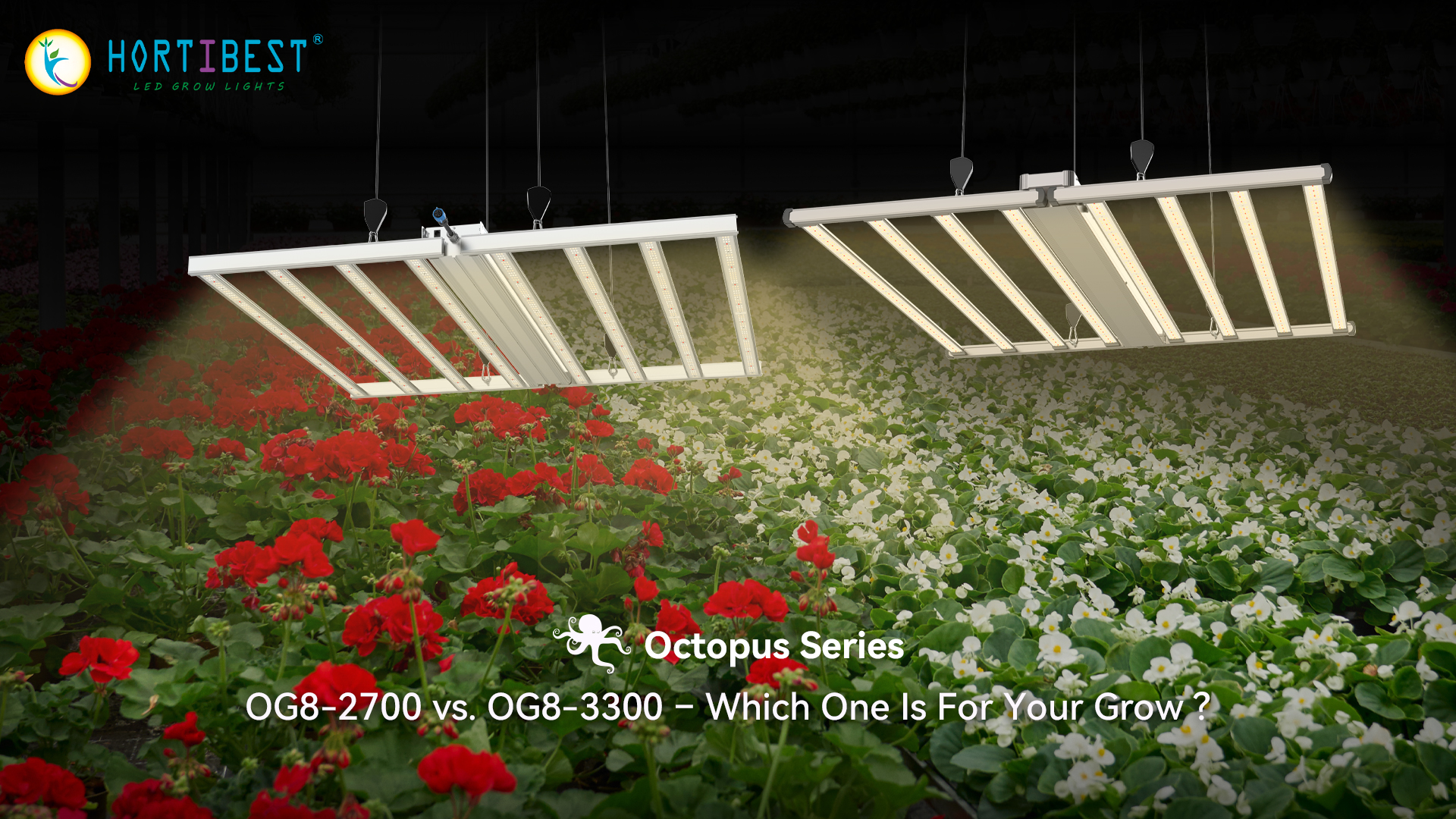 Hortibest's Octopus OG8-2700 vs. OG8-3300: Which Light Really Brings Your Need?