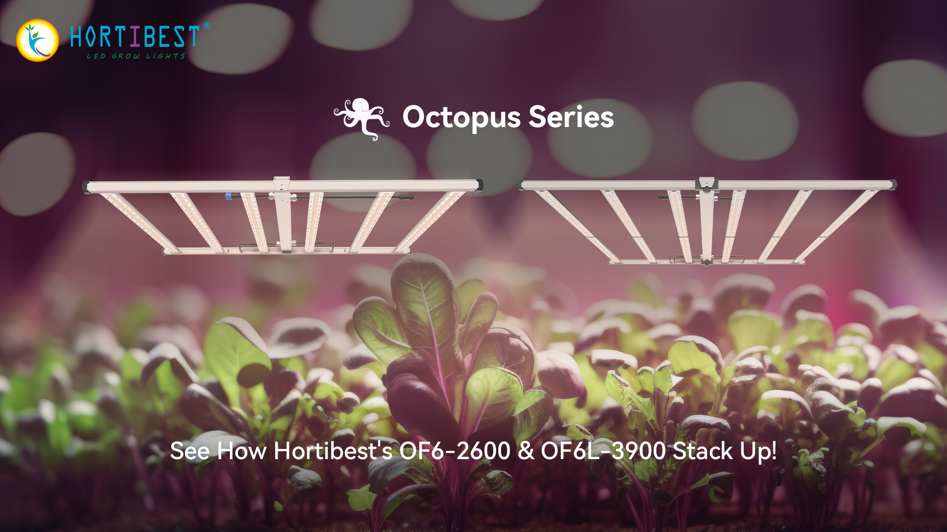 HORTIBEST Grow Light Showdown: OF6-2600 vs. OF6L-3900 – Which Powerhouse Is Right For Your Garden?