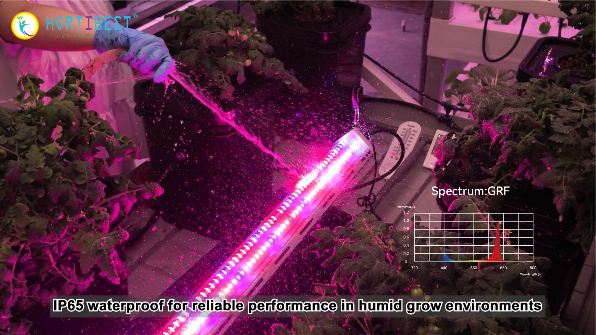 Tired of Larf? Level Up Your Lower Canopy. The MD-600 GRF Is Here