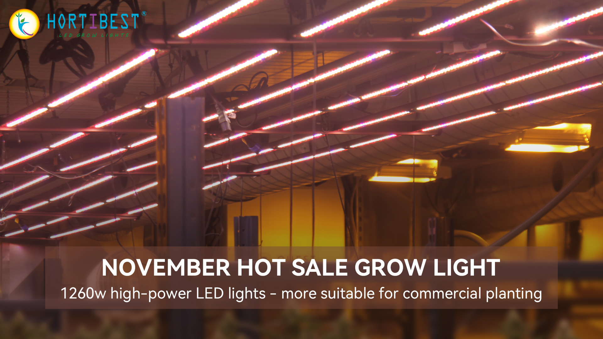 If You're in The Business of Growing High-value Crops Under Lights, You Know That Not All Fixtures Are Created Equal.