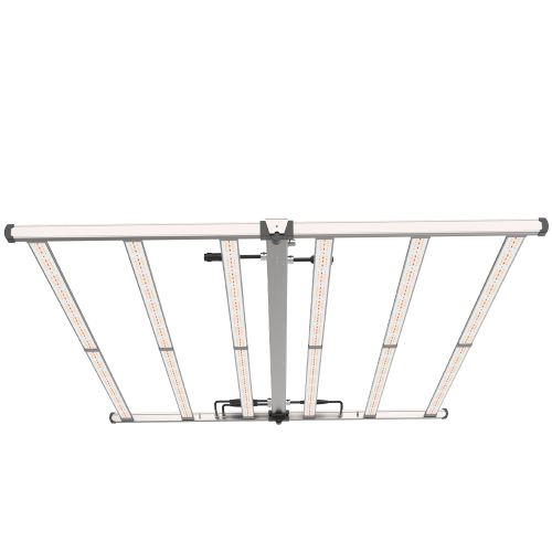 OCTOPUS 6'x4' OG6L-3900 1260W