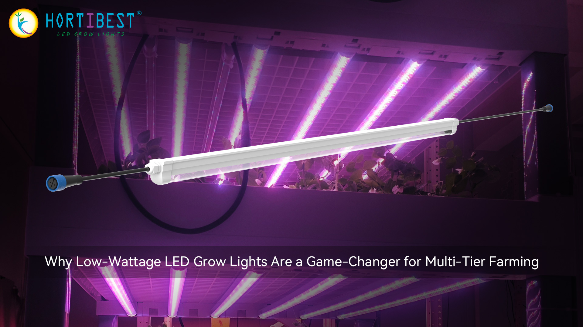 Why I Switched to Low-Wattage LEDs for My Multi-Tier Farming