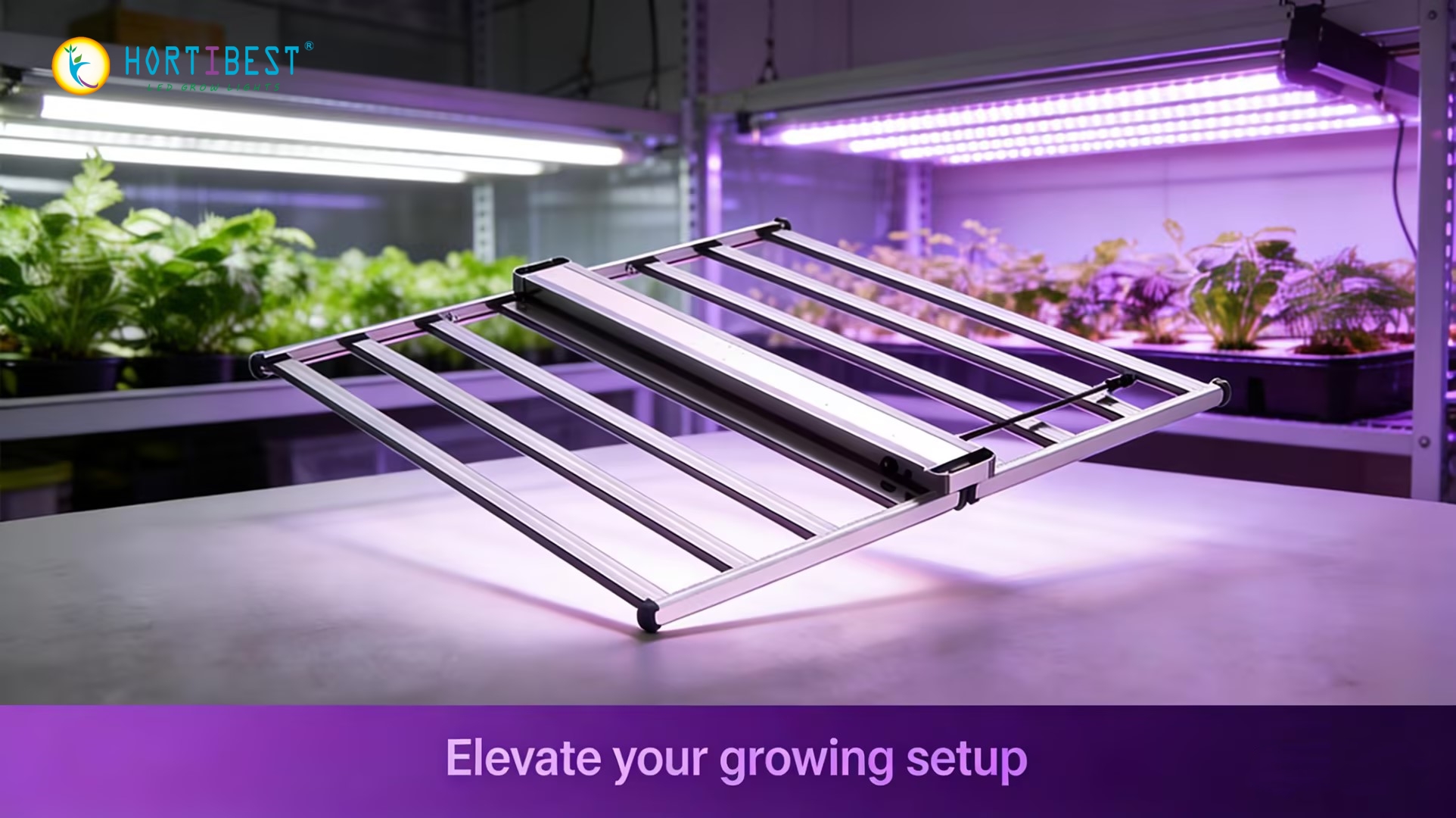 Selecting Your First LED Infrastructure for High-Value Crop Production