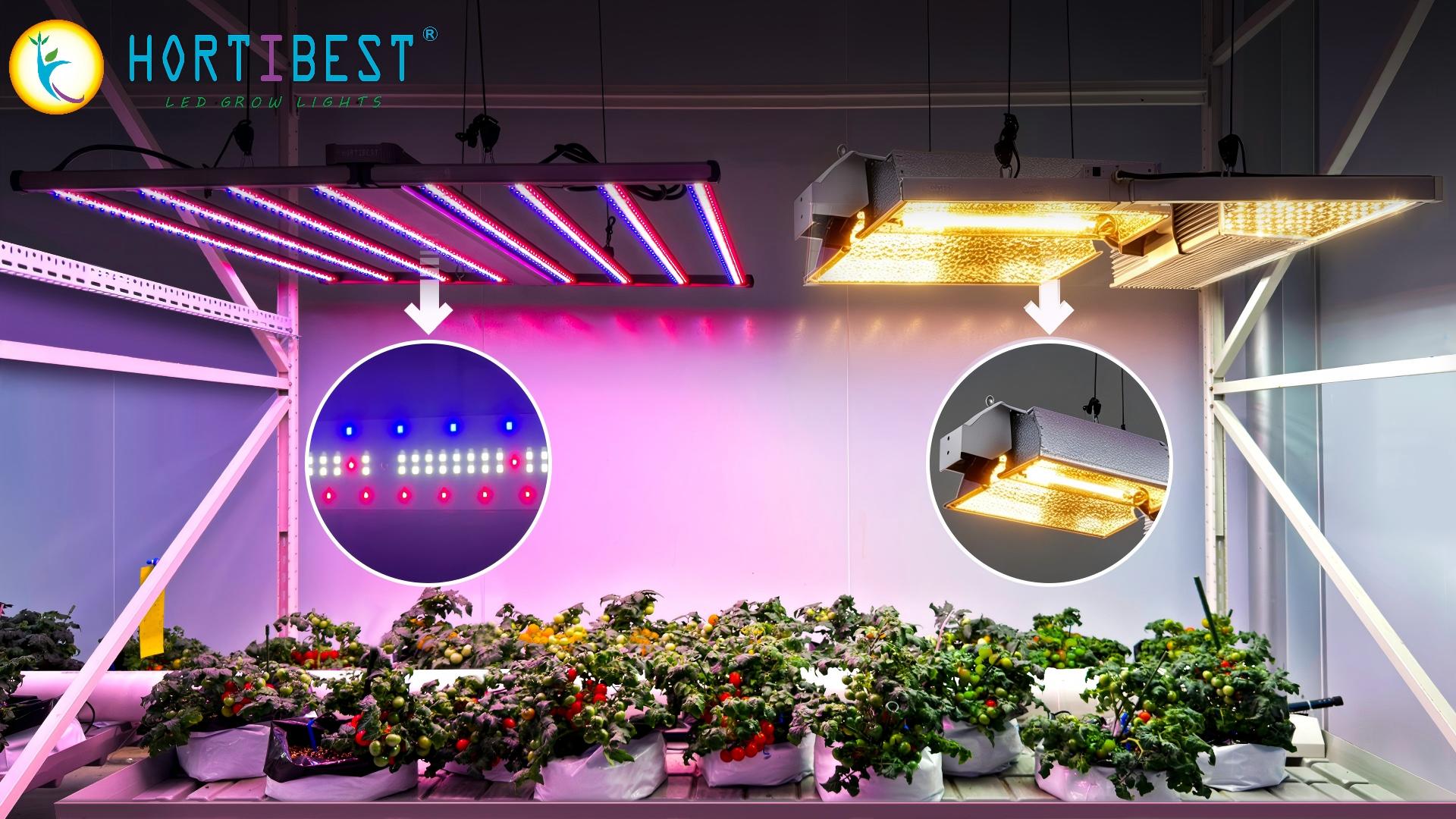 Why 3-Channel Spectrum Works Best for High-Value Medicinal Crops？