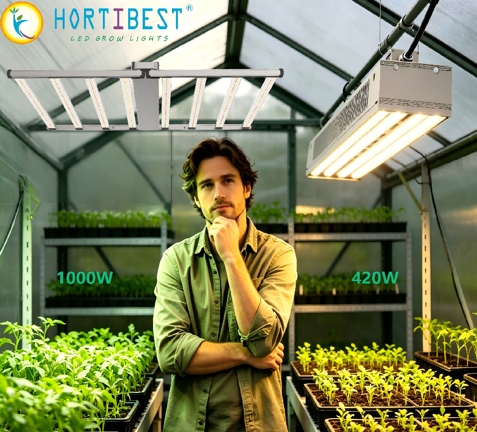 1000W vs 400W Grow Light: Which One Fits Your Grow?